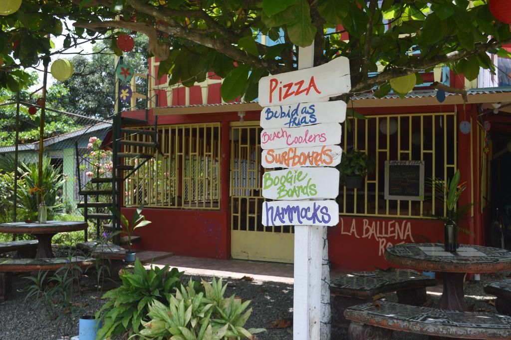La Ballena Roja Guest House And Cafe Uvita Kültér fotó