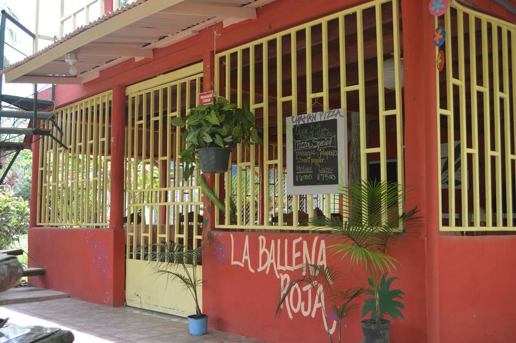 La Ballena Roja Guest House And Cafe Uvita Kültér fotó