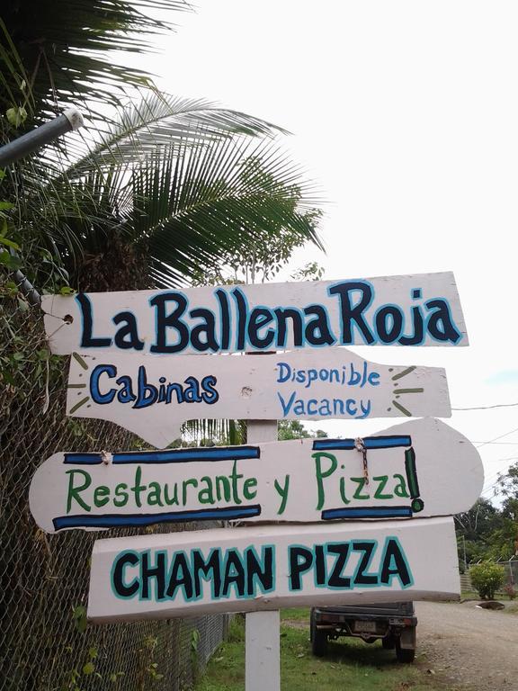 La Ballena Roja Guest House And Cafe Uvita Kültér fotó